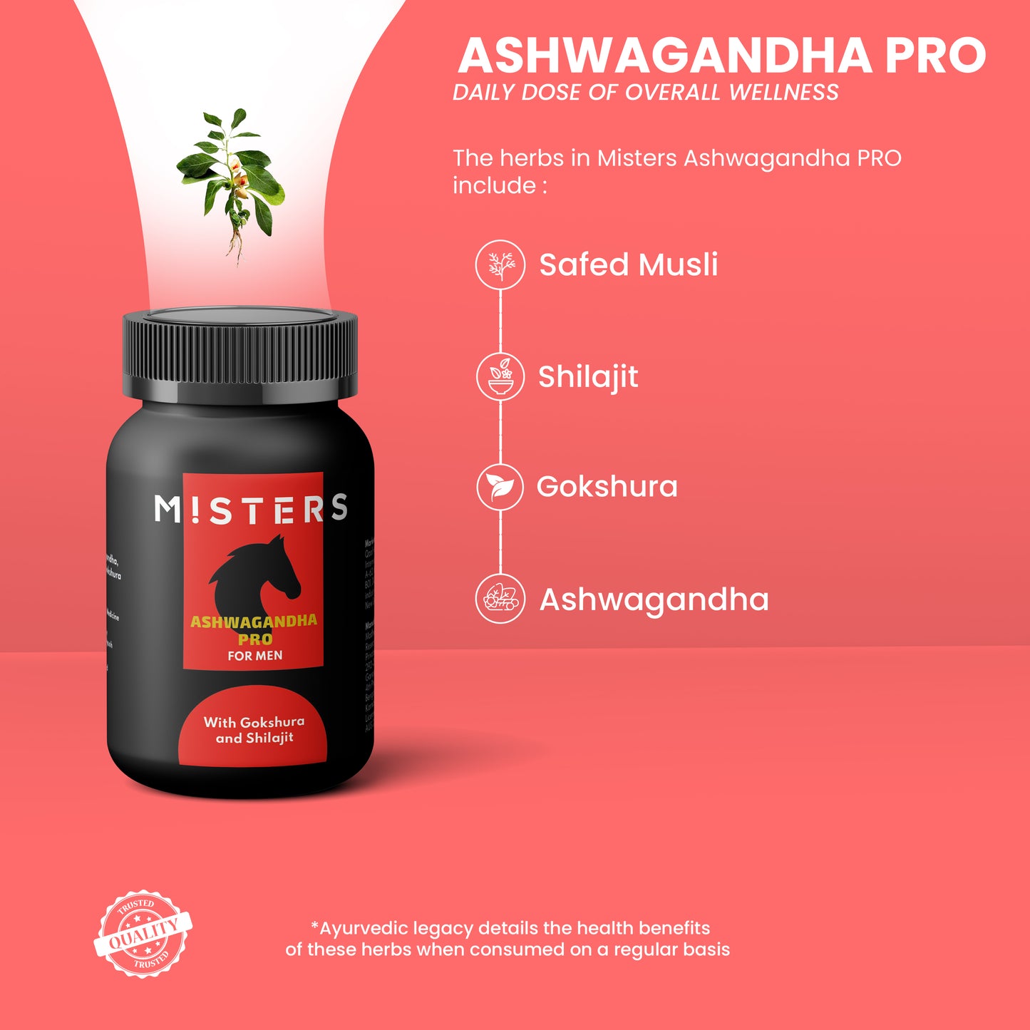 Misters Ashwagandha Pro For Men